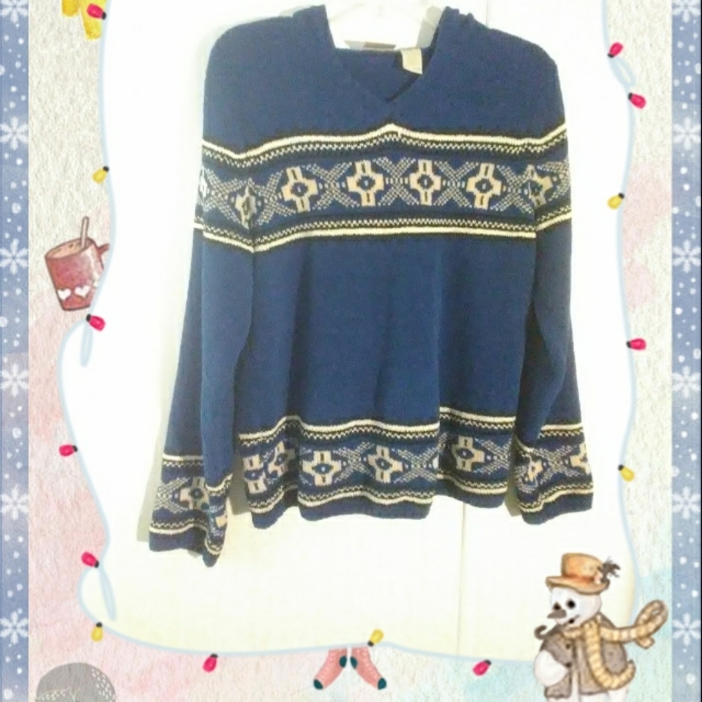 Erika Blue Soft Hooded Sweater Size Medium